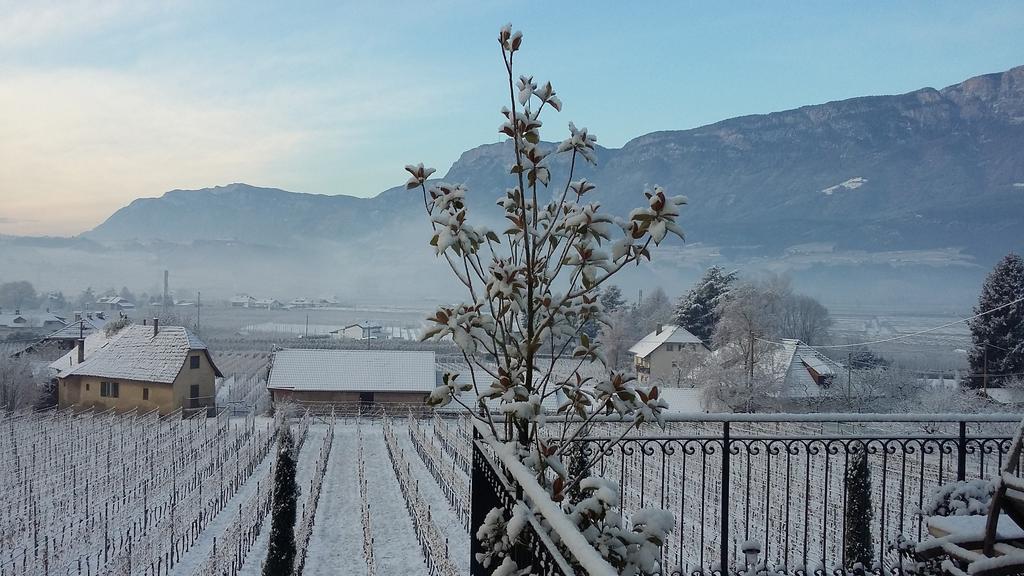 Brandlgut Bozen